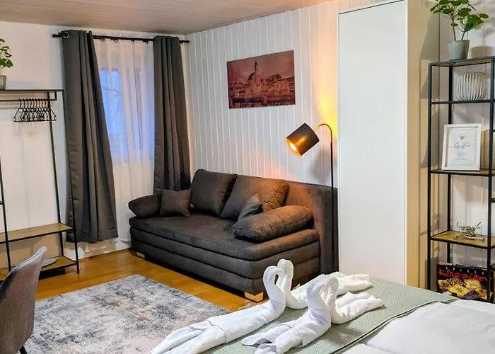Danube Abteistrasse - Self Checkin - Moderne - Ideal Fuer Geschaeftsreisende Und Staedtetrips * باساو